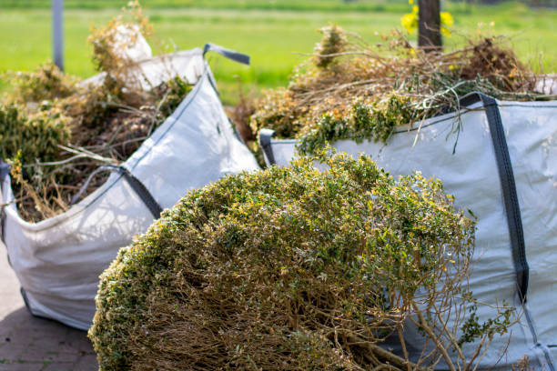 Trash Removal Near Me in Henry, IL